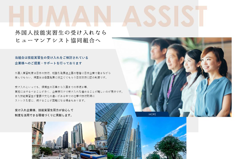 web-create-human-assist3.jpg