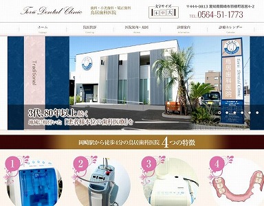 website create toriidental case top.jpg