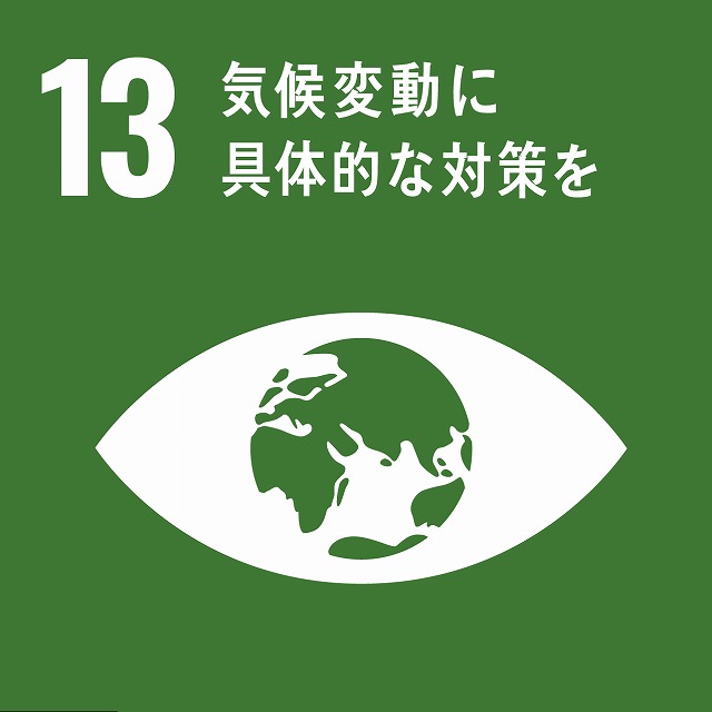 sdg_icon_13_ja_2.jpg