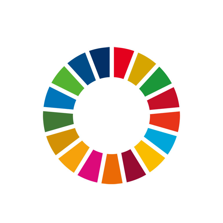 sdg_wheel.jpg