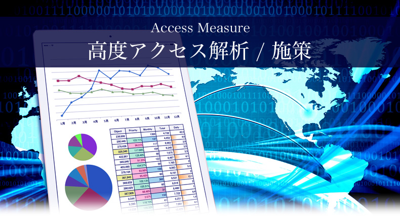 高度アクセス解析/施策